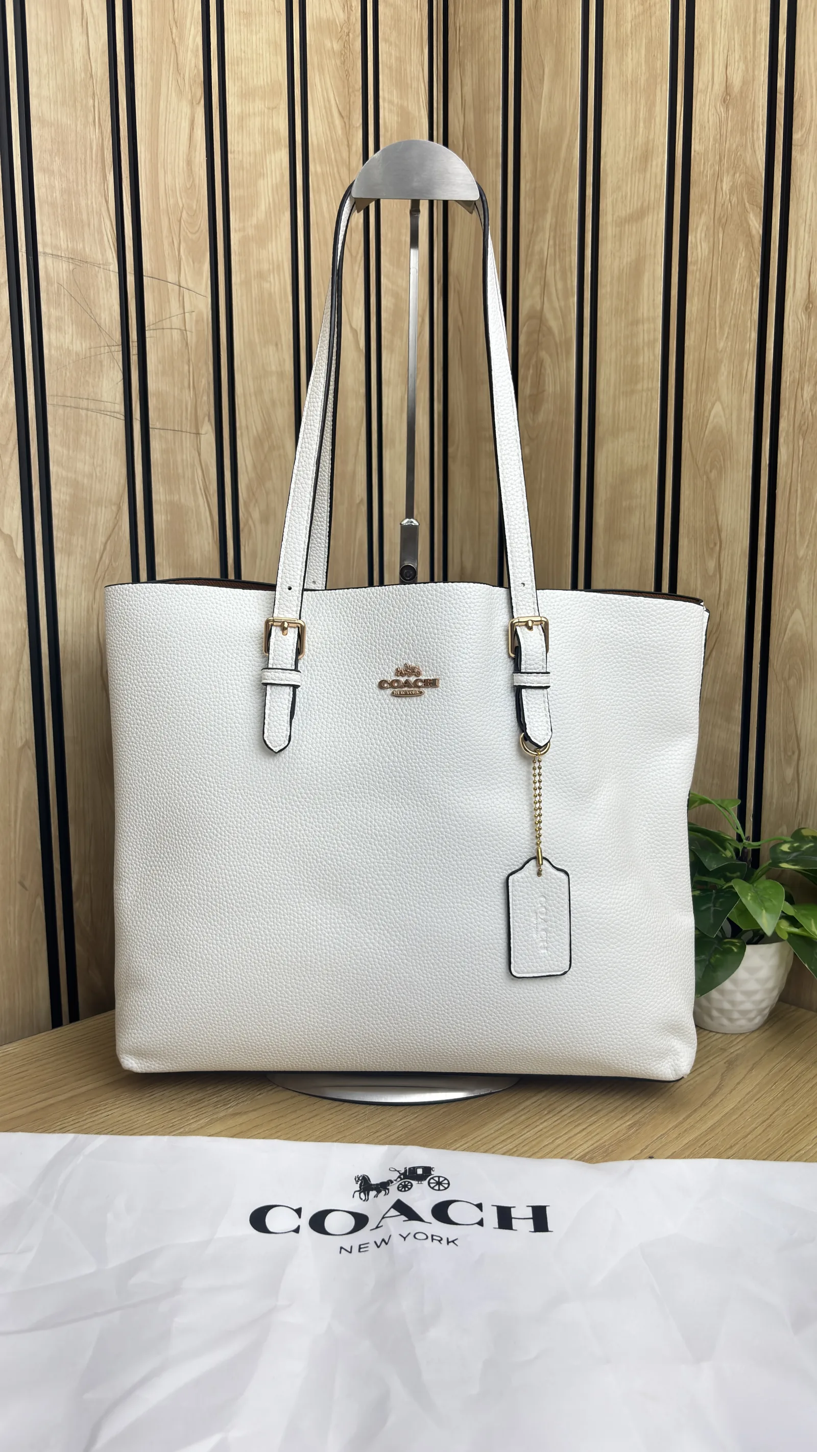 COACH MOLLIE TOTE BAG