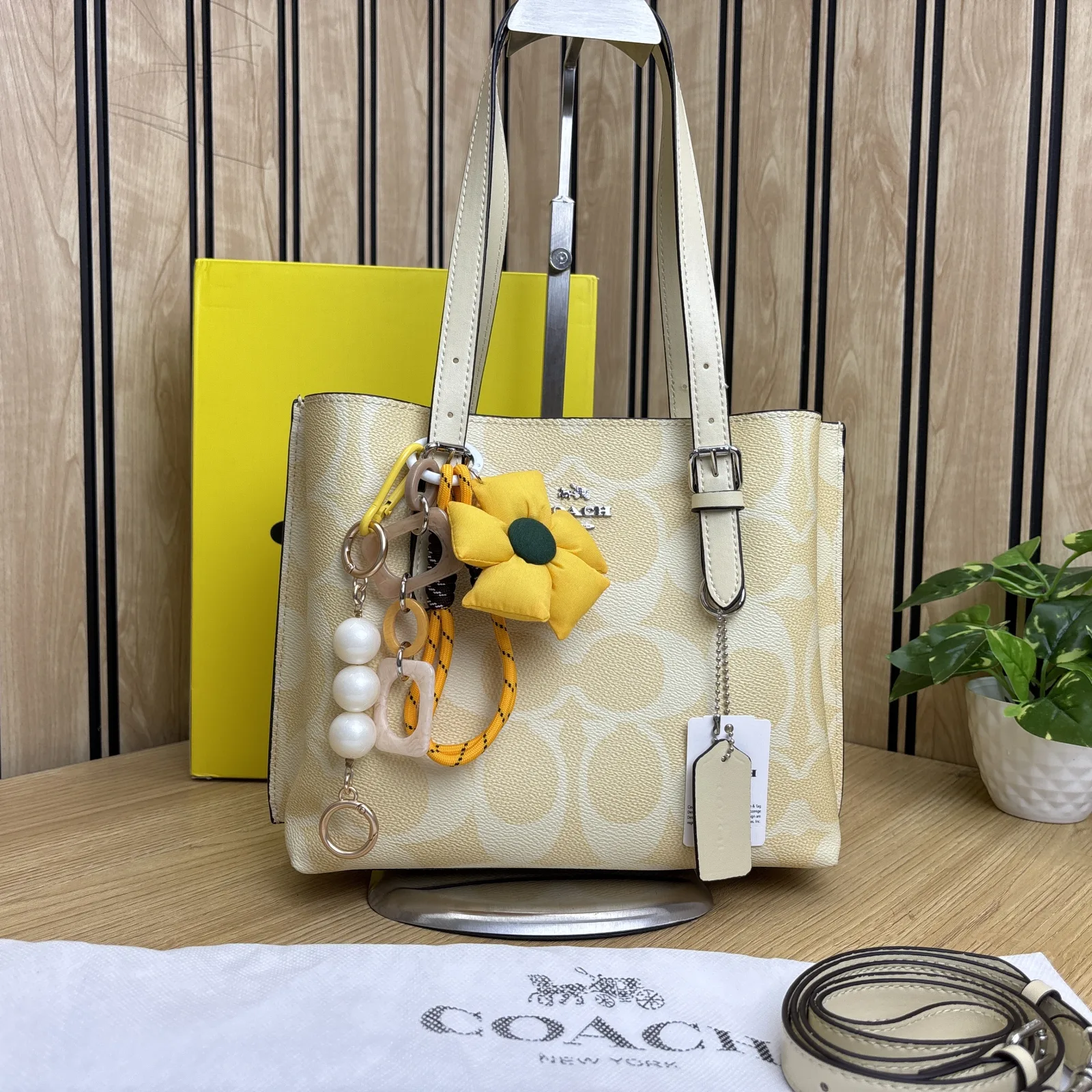 COACH MOLLIE 25 LIMITED EDITION