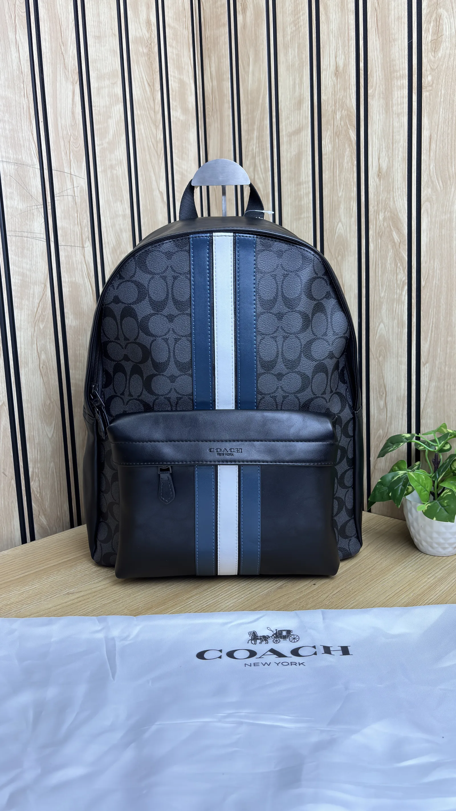 COACH CHARTER BACKPACK