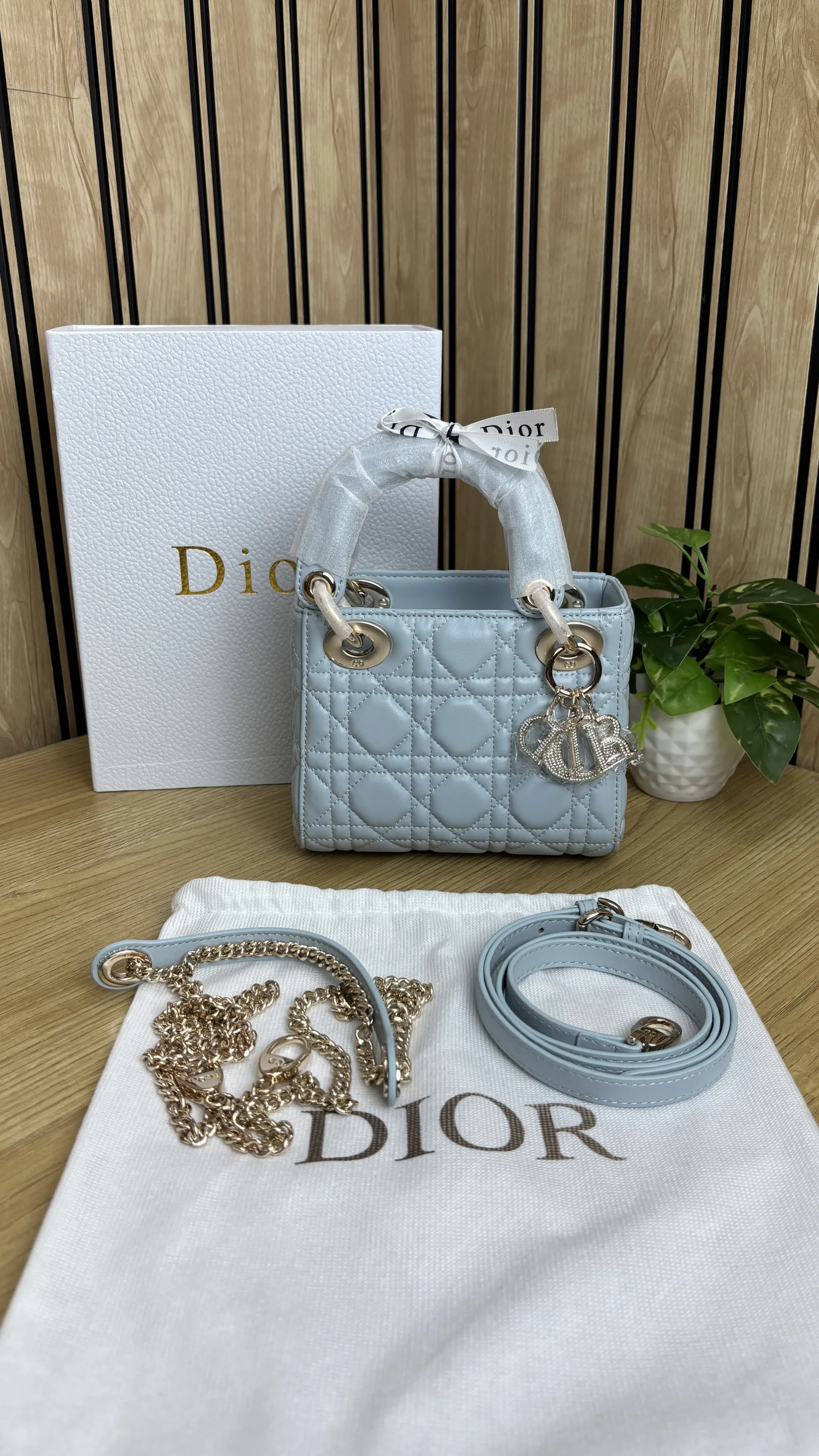 MINI LADY DIOR WITH STONE CHARM