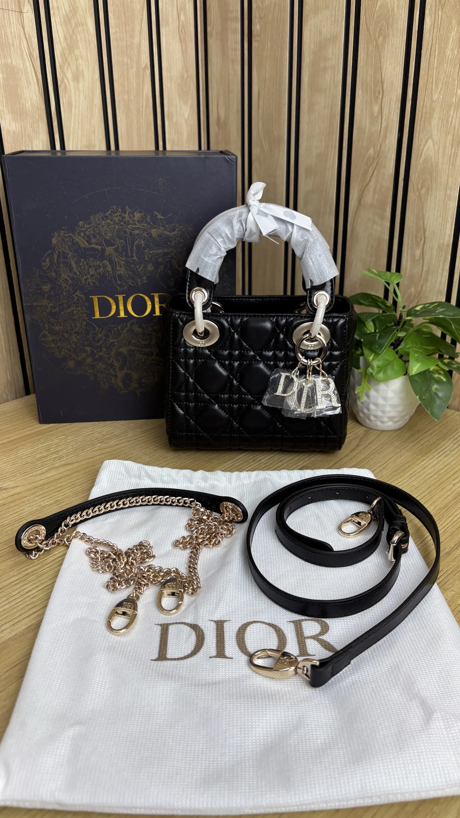 MINI LADY DIOR WITH STONE CHARM