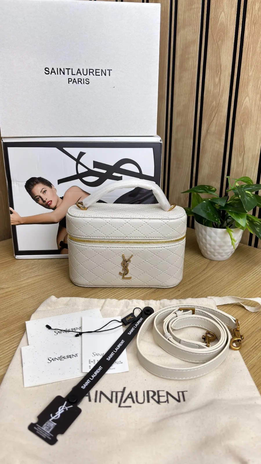 SAINT LAURENT GABY VANITY BAG
